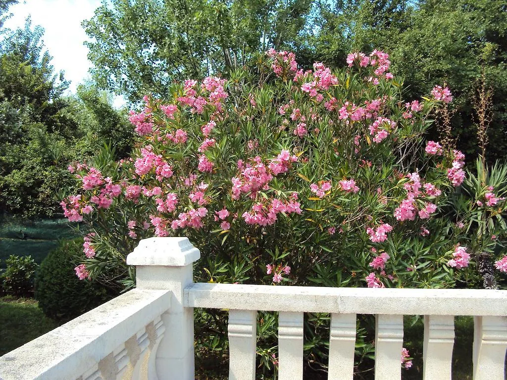 La Douloire Hotel Pernes-les-Fontaines Guest house